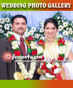 Abish Maria Wedding Photos Angamaly Kerala